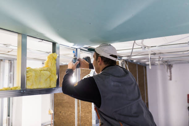 Best Insulation Inspection Services  in Lusby, MD