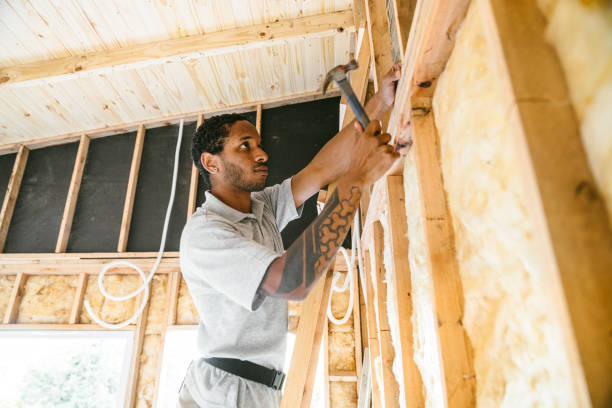 Best Insulation Contractors for Homes  in Lusby, MD