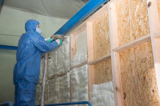 Best Affordable Insulation Services  in Lusby, MD