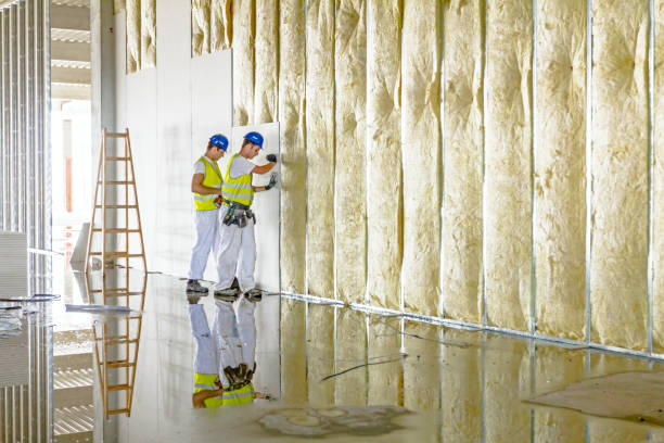 Best Residential Insulation Services  in Lusby, MD